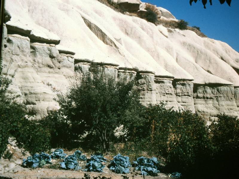 036_Garten_nach_Uchisar.jpg